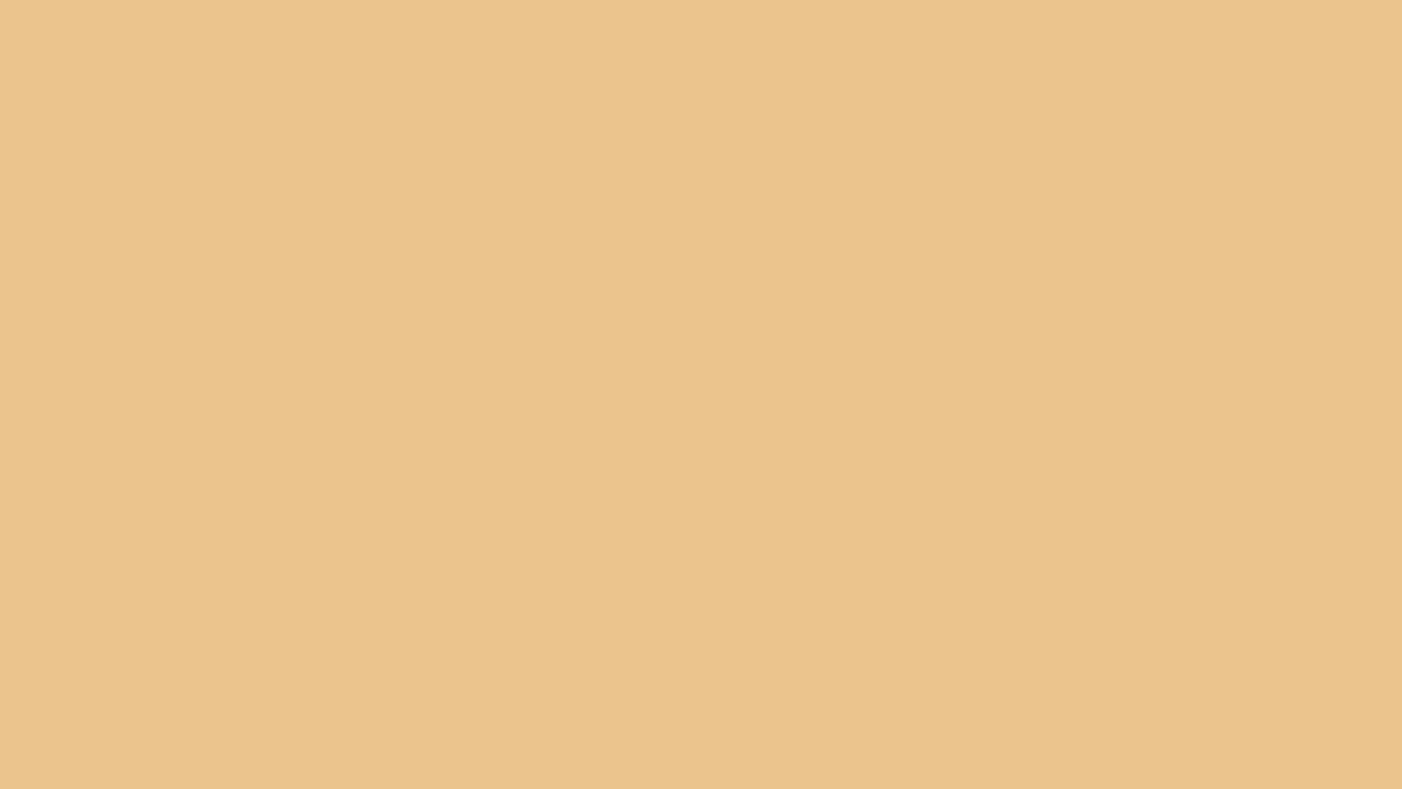 Condimentum Efficitur